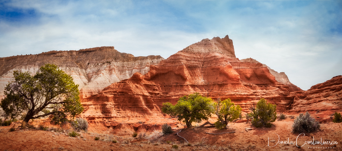 Kodachrome Park colorful desert beauty in spring USA